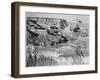 Canyon With Ravine Winding Through Center High Horizon "Grand Canyon NP" Arizona. 1933-1942-Ansel Adams-Framed Art Print