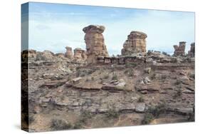 Canyonland 10-Gordon Semmens-Stretched Canvas