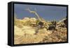 Canyonland 13-Gordon Semmens-Framed Stretched Canvas