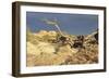 Canyonland 13-Gordon Semmens-Framed Photographic Print
