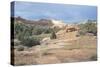 Canyonland 20-Gordon Semmens-Stretched Canvas