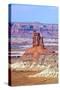 Canyonlands Color-Douglas Taylor-Stretched Canvas