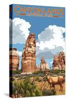 Canyonlands National Park, Utah - Chesler and Deer-Lantern Press-Stretched Canvas