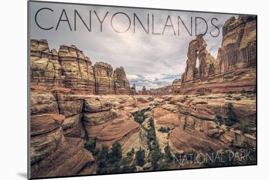 Canyonlands National Park, Utah - Cloudy Canyon View-Lantern Press-Mounted Art Print