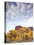 Canyonlands NP, Utah. Cottonwoods in Autumn Below Cliffs and Clouds-Scott T. Smith-Stretched Canvas