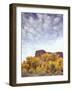 Canyonlands NP, Utah. Cottonwoods in Autumn Below Cliffs and Clouds-Scott T. Smith-Framed Photographic Print