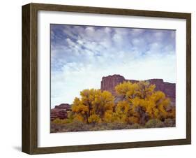 Canyonlands NP, Utah. Cottonwoods in Autumn Below Cliffs and Clouds-Scott T. Smith-Framed Photographic Print