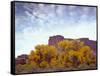 Canyonlands NP, Utah. Cottonwoods in Autumn Below Cliffs and Clouds-Scott T. Smith-Framed Stretched Canvas