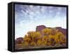 Canyonlands NP, Utah. Cottonwoods in Autumn Below Cliffs and Clouds-Scott T. Smith-Framed Stretched Canvas