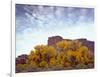 Canyonlands NP, Utah. Cottonwoods in Autumn Below Cliffs and Clouds-Scott T. Smith-Framed Photographic Print