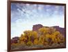 Canyonlands NP, Utah. Cottonwoods in Autumn Below Cliffs and Clouds-Scott T. Smith-Framed Photographic Print