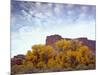 Canyonlands NP, Utah. Cottonwoods in Autumn Below Cliffs and Clouds-Scott T. Smith-Mounted Photographic Print