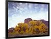 Canyonlands NP, Utah. Cottonwoods in Autumn Below Cliffs and Clouds-Scott T. Smith-Framed Photographic Print