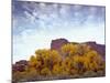 Canyonlands NP, Utah. Cottonwoods in Autumn Below Cliffs and Clouds-Scott T. Smith-Mounted Photographic Print