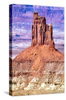 Canyonlands Sentinel-Douglas Taylor-Stretched Canvas