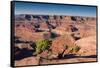 Canyonlands Sunrise-Michael Blanchette Photography-Framed Stretched Canvas