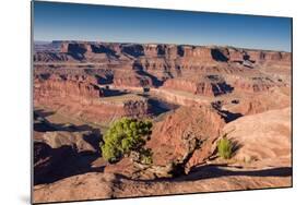 Canyonlands Sunrise-Michael Blanchette Photography-Mounted Photographic Print