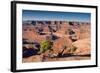 Canyonlands Sunrise-Michael Blanchette Photography-Framed Photographic Print