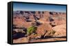 Canyonlands Sunrise-Michael Blanchette Photography-Framed Stretched Canvas