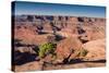 Canyonlands Sunrise-Michael Blanchette Photography-Stretched Canvas
