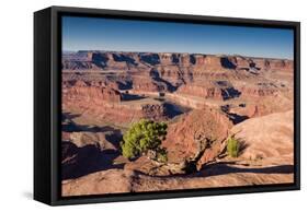 Canyonlands Sunrise-Michael Blanchette Photography-Framed Stretched Canvas