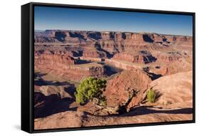 Canyonlands Sunrise-Michael Blanchette Photography-Framed Stretched Canvas