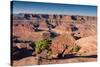 Canyonlands Sunrise-Michael Blanchette Photography-Stretched Canvas