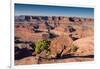 Canyonlands Sunrise-Michael Blanchette Photography-Framed Photographic Print