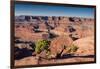 Canyonlands Sunrise-Michael Blanchette Photography-Framed Photographic Print