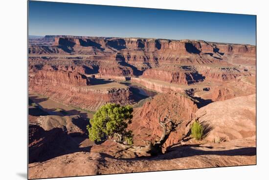 Canyonlands Sunrise-Michael Blanchette Photography-Mounted Premium Photographic Print