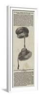 Cap and Hat Worn by the Sword and Mace Bearers of the City of Coventry-null-Framed Premium Giclee Print