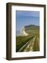 Cap Blanc Nez, Escalles, Cote D'Opale, Pas De Calais, France-Walter Bibikow-Framed Photographic Print