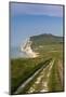 Cap Blanc Nez, Escalles, Cote D'Opale, Pas De Calais, France-Walter Bibikow-Mounted Photographic Print