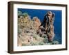 Cap De Dramont, Corniche De L'Esterel, Var, Cote d'Azur, French Riviera, Provence, France-Bruno Barbier-Framed Photographic Print