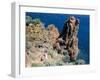 Cap De Dramont, Corniche De L'Esterel, Var, Cote d'Azur, French Riviera, Provence, France-Bruno Barbier-Framed Photographic Print