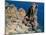 Cap De Dramont, Corniche De L'Esterel, Var, Cote d'Azur, French Riviera, Provence, France-Bruno Barbier-Mounted Photographic Print