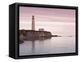 Cap Des Rosiers Lighthouse, Gaspe, Quebec, Canada, North America-Michael DeFreitas-Framed Stretched Canvas