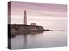 Cap Des Rosiers Lighthouse, Gaspe, Quebec, Canada, North America-Michael DeFreitas-Stretched Canvas