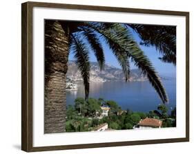 Cap Ferrat, Alpes-Maritimes, Cote d'Azur, Provence, France, Mediterranean-John Miller-Framed Photographic Print