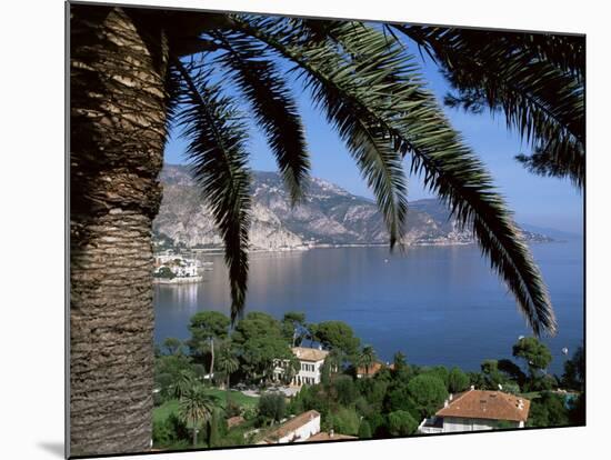 Cap Ferrat, Alpes-Maritimes, Cote d'Azur, Provence, France, Mediterranean-John Miller-Mounted Photographic Print