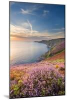 Cap Frehel, Brittany, France. Cliff at Sunrise.-Marco Bottigelli-Mounted Photographic Print