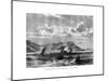Cap Tiburon, Haiti, 19th Century-T Weber-Mounted Giclee Print