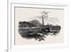 Cap Tourmente and Petit Cap, Canada, Nineteenth Century-null-Framed Giclee Print