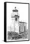 Cape Arago Lighthouse, Coos Bay, Oregon-null-Framed Stretched Canvas