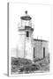 Cape Arago Lighthouse, Coos Bay, Oregon-null-Stretched Canvas