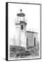 Cape Arago Lighthouse, Coos Bay, Oregon-null-Framed Stretched Canvas