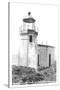 Cape Arago Lighthouse, Coos Bay, Oregon-null-Stretched Canvas