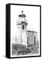 Cape Arago Lighthouse, Coos Bay, Oregon-null-Framed Stretched Canvas