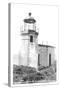 Cape Arago Lighthouse, Coos Bay, Oregon-null-Stretched Canvas