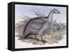 Cape Barren Goose (Cereopsis Novaehollandiae)-John Gould-Framed Stretched Canvas